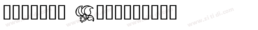 Porsche Design字体转换